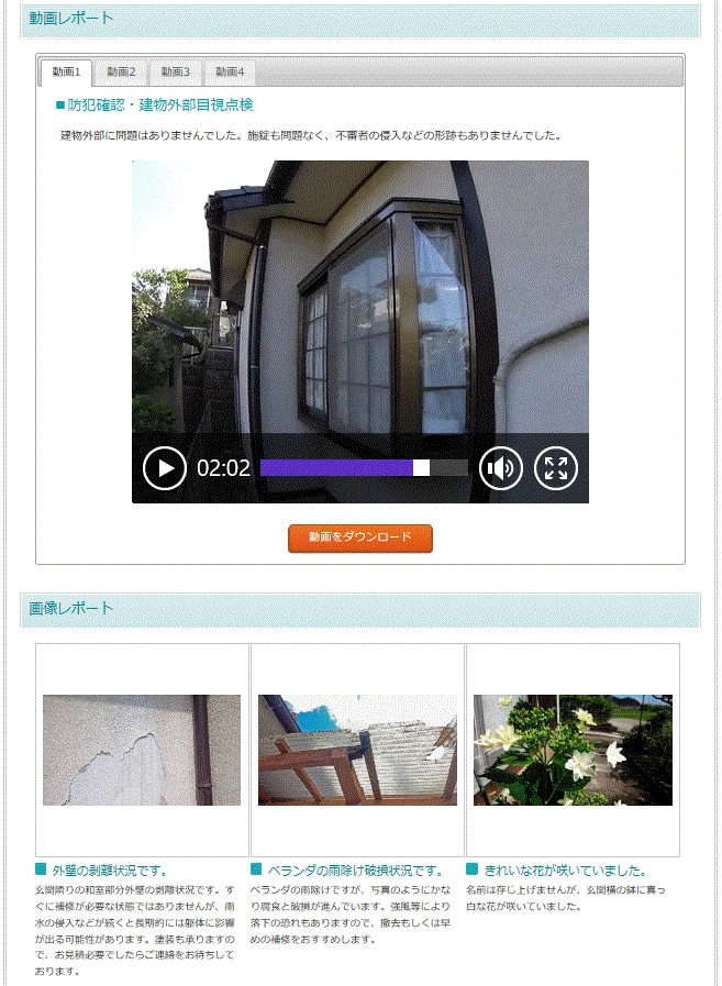 動画レポート